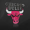 Chicago-bulls-3d-logo-wallpaper_crop_60x60