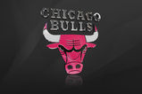 Chicago-bulls-3d-logo-wallpaper_more_feature