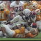 26 Oct 1996: General view of a game between the Tennessee Volunteers and the Alabama Crimson Tide at Neyland Stadium in Knoxville, Tennessee. Tennessee won the game, 20-13.