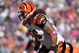BALTIMORE - OCTOBER 11:  Rey Maualuga #58 of the Cincinnati Bengals defends against the Baltimore Ravens at M&T Bank Stadium on October 11, 2009 in Baltimore, Maryland. The Bengals defeated the Ravens 17-14. (Photo by Larry French/Getty Images)