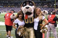 N674119542_950330_2440_crop_190x127