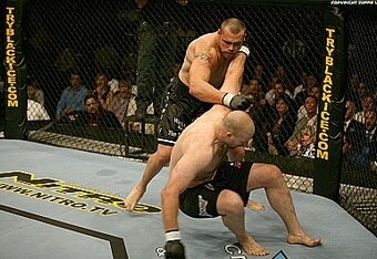 _ttim_sylvia5ufc44_sylvia_vs_mc_crop_340x234