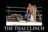 Thaiclinch_more_feature
