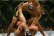 MANCHESTER, UNITED KINGDOM - APRIL 21: Lyoto Machida of Brazil and David Heath of England in action during a Welterweight bout of the Ultimate Fighting Championship at the Manchester Evening News Arena on April 21, 2007 in Manchester, England. (Photo by Gary M. Prior/Getty Images).