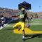 EUGENE, OR - SEPTEMBER 26: Ed Dickson #83 of the Oregon Ducks celebrates his touchdown in the first quarter of the game against the California Bears at Autzen Stadium on September 26, 2009 in Eugene, Oregon. (Photo by Steve Dykes/Getty Images)