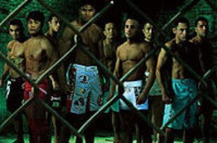 Dream12_crop_310x205