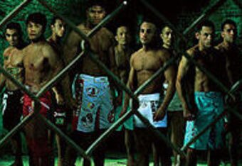 Dream12_crop_340x234