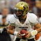 AUSTIN, TX - OCTOBER 10: Quarterback Tyler Hansen #9 of the Colorado Buffaloes drops back against the Texas Longhorns on October 10, 2009 at Darrell K Royal-Texas Memorial Stadium in Austin, Texas. Texas won 38-14. (Photo by Brian Bahr/Getty Images)