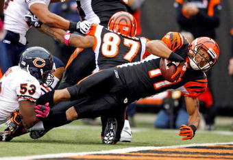 CINCINNATI - OCTOBER 25:  Laveranues Coles #11 of the Cincinnati Bengals scores a touchdcown during the NFL game against the Chicago Bears at Paul Brown Stadium on October 25, 2009 in Cincinnati, Ohio.  The Bengals won 45-10.  (Photo by Andy Lyons/Getty Images)
