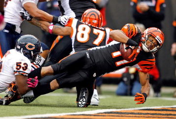 CINCINNATI - OCTOBER 25:  Laveranues Coles #11 of the Cincinnati Bengals scores a touchdcown during the NFL game against the Chicago Bears at Paul Brown Stadium on October 25, 2009 in Cincinnati, Ohio.  The Bengals won 45-10.  (Photo by Andy Lyons/Getty Images)