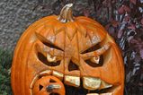 Pumpkin_more_feature