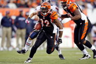 CINCINNATI - OCTOBER 25:  Cedric Benson #32 of the Cincinnati Bengals runs with the ball  during the NFL game against the Chicago Bears at Paul Brown Stadium on October 25, 2009 in Cincinnati, Ohio.  The Bengals won 45-10.  (Photo by Andy Lyons/Getty Images)