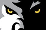 Timberwolves_crop_150x100