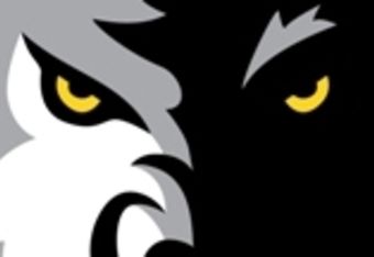 Timberwolves_cropped