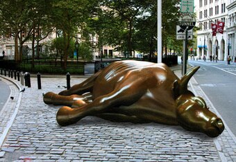 Dead_bull-thumb_crop_340x234