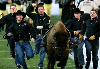 BOULDER, CO - OCTOBER 17: The Colorado Buffaloes mascot Ralphie runs onto the field prior to the game against the Kansas Jayhawks at Folsom Field on October 17, 2009 in Boulder, Colorado. (Photo by Garrett W. Ellwood/Getty Images)