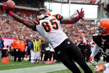 CLEVELAND - OCTOBER 04: Chad Ochocinco #85 of the Cincinnati Bengals hauls in a one handed catch for a first quatrer touchdown against the Cleveland Browns during their game at Cleveland Browns Stadium on October 4, 2009 in Cleveland, Ohio.  (Photo by Jim McIsaac/Getty Images)