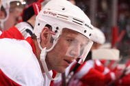GLENDALE, AZ - OCTOBER 22:  Kirk Maltby #18 of the Detroit Red Wings watches from the bench during the NHL game against the Phoenix Coyotes at Jobing.com Arena on October 22, 2009 in Glendale, Arizona. The Coyotes defeated the Red Wings 3-2 in overtime.  (Photo by Christian Petersen/Getty Images)