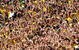 EUGENE, OR - SEPTEMBER 26: A capacity crowd of Oregon Duck fans cheers on the Oregon Ducks as they beat the California Bears at Autzen Stadium on September 26, 2009 in Eugene, Oregon.. The Ducks upset the Bears 42-3. (Photo by Steve Dykes/Getty Images)
