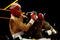 SYDNEY, AUSTRALIA - OCTOBER 29:  NRL player Wendell Sailor competes against former AFL player Warwick Capper during a celebrity boxing match in the Sports Theatre at Star City on October 29, 2009 in Sydney, Australia.  (Photo by Brendon Thorne/Getty Images)