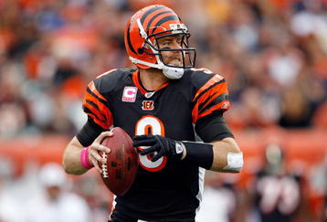 CINCINNATI - OCTOBER 25:  Carson Palmer #9 of the Cincinnati Bengals looks to pass the ball during the NFL game against the Chicago Bears at Paul Brown Stadium on October 25, 2009 in Cincinnati, Ohio.  The Bengals won 45-10.  (Photo by Andy Lyons/Getty Images)