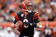 CINCINNATI - OCTOBER 25:  Carson Palmer #9 of the Cincinnati Bengals looks to pass the ball during the NFL game against the Chicago Bears at Paul Brown Stadium on October 25, 2009 in Cincinnati, Ohio.  The Bengals won 45-10.  (Photo by Andy Lyons/Getty Images)