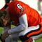 CHICAGO - NOVEMBER 01: Jay Cutler #6 of the Chicago Bears reacts after being sacked by members of the Cleveland Browns at Soldier Field on November 1, 2009 in Chicago, Illinois. The Bears defeated the Browns 30-6. (Photo by Jonathan Daniel/Getty Images)