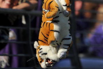 BALTIMORE - OCTOBER 11:  A fan of the Baltimore Ravens hangs a tiger during the game against the Cincinnati Bengals at M&T Bank Stadium on October 11, 2009 in Baltimore, Maryland. The Bengals defeated the Ravens 17-14. (Photo by Larry French/Getty Images)