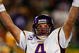 GREEN BAY, WI - NOVEMBER 01: Quarterback Brett Favre #4 of the Minnesota Vikings celebrates a touchdown by teammate Percy Harvin #12 after a 51 yard touchdown pass during the third quarter of the game against the Green Bay Packers at Lambeau Field on November 1, 2009 in Green Bay, Wisconsin. (Photo by Scott Boehm/Getty Images)