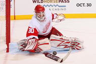 GLENDALE, AZ - OCTOBER 22:  Goaltender Chris Osgood #30 of the Detroit Red Wings in action during the NHL game against the Phoenix Coyotes at Jobing.com Arena on October 22, 2009 in Glendale, Arizona. The Coyotes defeated the Red Wings 3-2 in overtime.  (Photo by Christian Petersen/Getty Images)