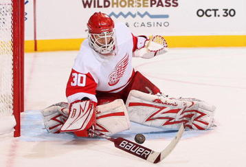 GLENDALE, AZ - OCTOBER 22:  Goaltender Chris Osgood #30 of the Detroit Red Wings in action during the NHL game against the Phoenix Coyotes at Jobing.com Arena on October 22, 2009 in Glendale, Arizona. The Coyotes defeated the Red Wings 3-2 in overtime.  (Photo by Christian Petersen/Getty Images)