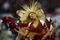 LONDON, ENGLAND - OCTOBER 25:  Cheerleaders during the NFL International Series match between New England Patriots and Tampa Bay Buccaneers at Wembley Stadium on October 25, 2009 in London, England. This is the third occasion where a regular season NFL match has been played in London.  (Photo by Julian Finney/Getty Images)