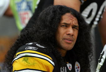 PITTSBURGH - SEPTEMBER 07:  Safety Troy Polamalu #43 of the Pittsburgh Steelers during play against the Houston Texans on September 7, 2008 at Heinz Field in Pittsburgh, Pennsylvania.  (Photo by Ronald Martinez/Getty Images)