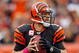 CINCINNATI - OCTOBER 25: Carson Palmer #9 of the Cincinnati Bengals looks to pass the ball during the NFL game against the Chicago Bears at Paul Brown Stadium on October 25, 2009 in Cincinnati, Ohio. The Bengals won 45-10. (Photo by Andy Lyons/Getty Images)