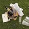 ASCOT, UNITED KINGDOM - JUNE 20:  A empty champagne bottle lies in a bucket on the ground after the first day of Royal Ascot, at the Ascot Racecourse on June 20, 2006 in Ascot, England.  The event has been one of the highlights of the racing and social calendar since 1711, and the royal patronage continues today with a Royal Procession taking place in front of the grandstands daily.  (Photo by Scott Barbour/Getty Images)