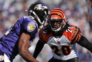BALTIMORE - OCTOBER 11:  David Jones #20 of the Cincinnati Bengals defends against the Baltimore Ravens at M&T Bank Stadium on October 11, 2009 in Baltimore, Maryland. The Bengals defeated the Ravens 17-14. (Photo by Larry French/Getty Images)
