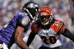 BALTIMORE - OCTOBER 11:  David Jones #20 of the Cincinnati Bengals defends against the Baltimore Ravens at M&T Bank Stadium on October 11, 2009 in Baltimore, Maryland. The Bengals defeated the Ravens 17-14. (Photo by Larry French/Getty Images)