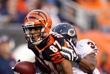 CINCINNATI - OCTOBER 25:  Andre Caldwell #87 of the Cincinnati Bengals catches a pass during the NFL game against the Chicago Bears at Paul Brown Stadium on October 25, 2009 in Cincinnati, Ohio.  The Bengals won 45-10.  (Photo by Andy Lyons/Getty Images)