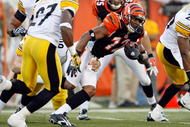 CINCINNATI - SEPTEMBER 27:  Quan Cosby #12 of the Cincinnati Bengals runs with the ball against the Pittsburgh Steelers at Paul Brown Stadium on September 27, 2009 in Cincinnati, Ohio.  The Bengals won 23-20.  (Photo by Andy Lyons/Getty Images)