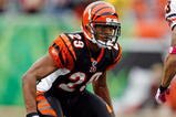 CINCINNATI - OCTOBER 25:  Leon Hall #29 of the Cincinnati Bengals is pictured during the NFL game against the Chicago Bears at Paul Brown Stadium on October 25, 2009 in Cincinnati, Ohio.  The Bengals won 45-10.  (Photo by Andy Lyons/Getty Images)