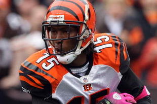 CLEVELAND - OCTOBER 04:  Chris Henry #15 of the Cincinnati Bengals runs the ball against the Cleveland Browns during their game at Cleveland Browns Stadium on October 4, 2009 in Cleveland, Ohio. The Bengals defeated the Browns 23-20 in overtime.  (Photo by Jim McIsaac/Getty Images)