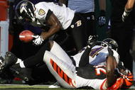 CINCINNATI - NOVEMBER 8:  Ed Reed # 20 of the Baltimore Ravens fumbles the football after be hit by Adbul Hodge #52 of the Cincinnati Bengals at Paul Brown Stadium on November 8, 2009 in Cincinnati, Ohio.  (Photo by John Sommers II/Getty Images)