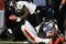 CINCINNATI - NOVEMBER 8:  Ed Reed # 20 of the Baltimore Ravens fumbles the football after be hit by Adbul Hodge #52 of the Cincinnati Bengals at Paul Brown Stadium on November 8, 2009 in Cincinnati, Ohio.  (Photo by John Sommers II/Getty Images)