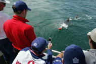 CAPE TOWN, SOUTH AFRICA - JANUARY 7: England's cricket players witness a Great White shark take the bait and circle the boat on January 7, 2005 in Cape Town, South Africa. (Photo by Clive Rose/Getty Images)