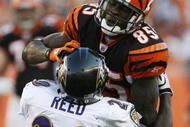 CINCINNATI - NOVEMBER 8: Chad Ochocinco #85 of the Cincinnati Bengals is tackled by Ed Reed #20 of the Baltimore Ravens at Paul Brown Stadium on November 8, 2009 in Cincinnati, Ohio.  (Photo by John Sommers II/Getty Images)