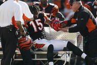 CINCINNATI - NOVEMBER 8: Chris Henry #15 of the Cincinnati Bengals is taken off the field with a left arm injury after being tackled by Lardarius Webb #21 of the Baltimore Ravens at Paul Brown Stadium on November 8, 2009 in Cincinnati, Ohio.  (Photo by John Sommers II/Getty Images)