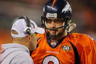 DENVER - NOVEMBER 09: of the Pittsburgh Steelers of the Denver Broncos at Invesco Field at Mile High on November 09, 2009 in Denver, Colorado. (Photo by Doug Pensinger/Getty Images)