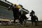 BALTIMORE - MAY 16:  Jockey Calvin Borel riding Rachel Alexandra wins the 134th Running of the Preakness Stakes at Pimlico Race Course on May 16, 2009 in Baltimore, Maryland.  (Photo by Al Bello/Getty Images)