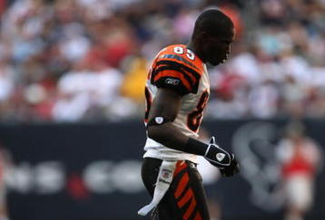 HOUSTON - OCTOBER 26:  Wide receiver Chad Johnson #85 of the Cincinnati Bengals walks to the bench during the game against the Houston Texans on October 26, 2008 at Reliant Stadium in Houston, Texas.  (Photo by Stephen Dunn/Getty Images)
