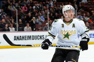 ANAHEIM, CA - MARCH 06:  Stephane Robidas #3 of the Dallas Stars against the Anaheim Ducks during the game at the Honda Center on March 6, 2009 in Anaheim, California.  (Photo by Harry How/Getty Images)